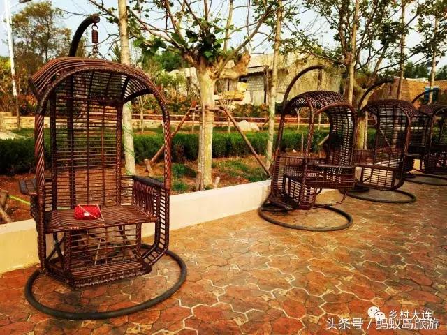 蚂蚁岛一日游,蚂蚁岛半日游