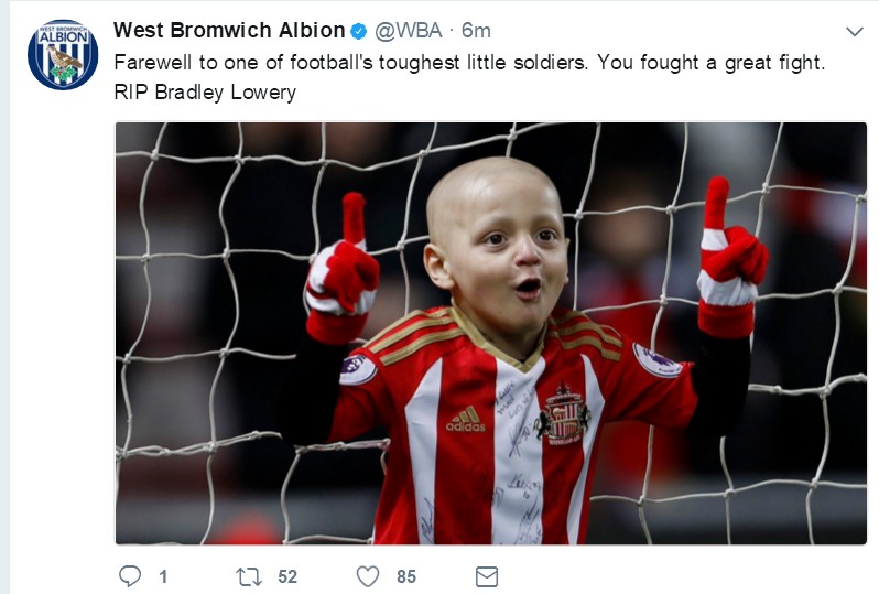 小布拉德利最后的话,小布拉德利视频