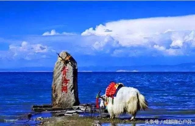 甘南年宝玉则景区,甘肃宝玉则旅游攻略