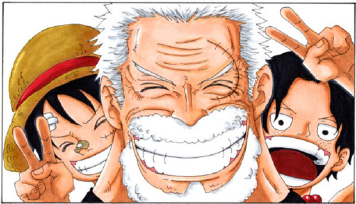 盘点海贼王中你不知道的特殊能力,盘点海贼王所有的海贼团