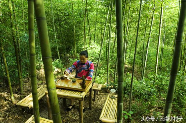 云南玉溪峨山彝人谷万亩竹海竹炭,彝人谷竹海攻略