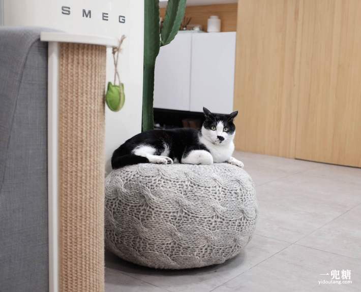 我和大熊去散步,我和大熊搭档完整视频