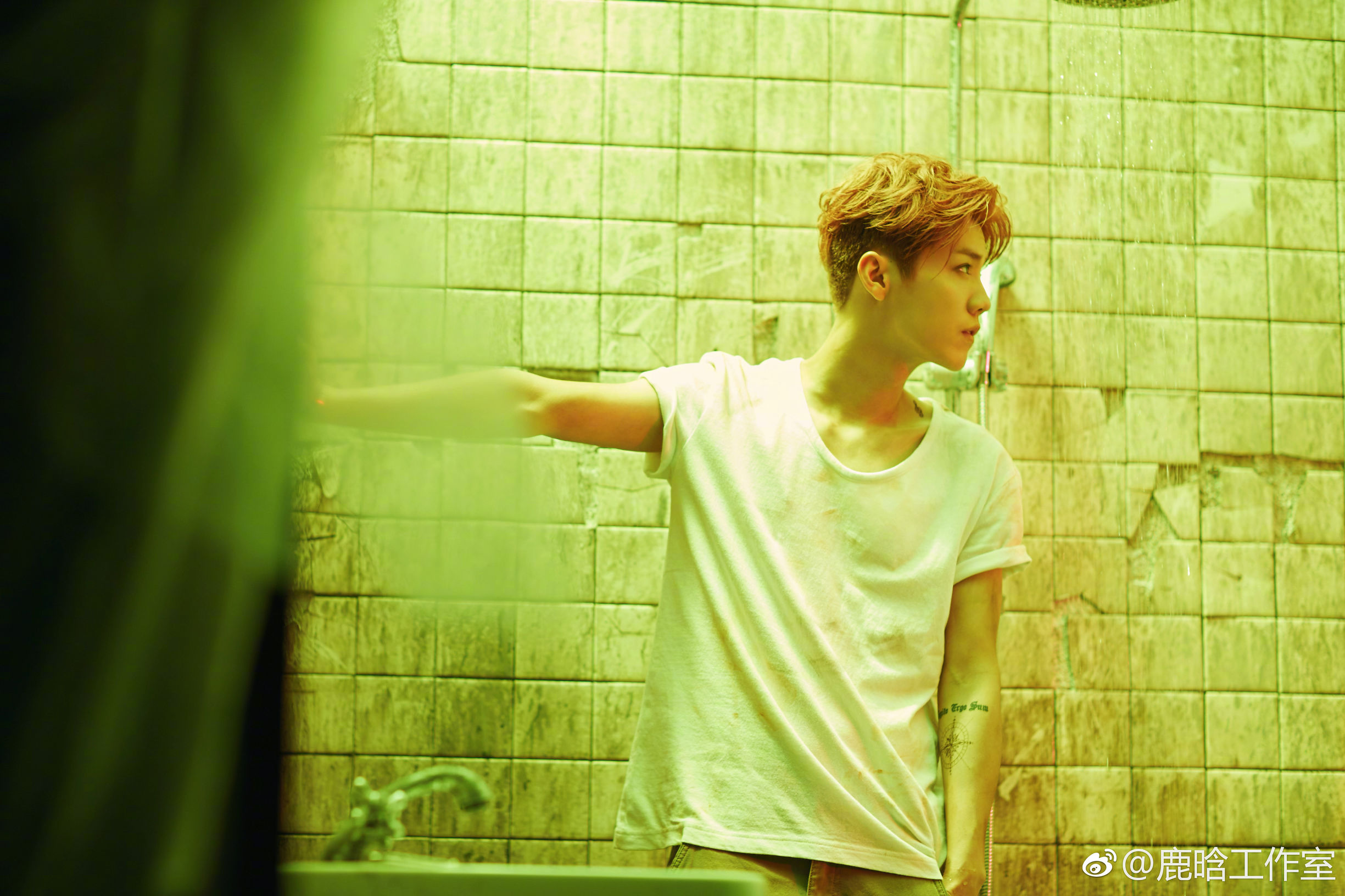 鹿晗原色乐评,鹿晗线上演唱会乐评