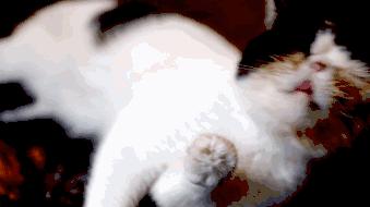 贵阳最劲爆的酒吧,贵阳hardstar酒吧