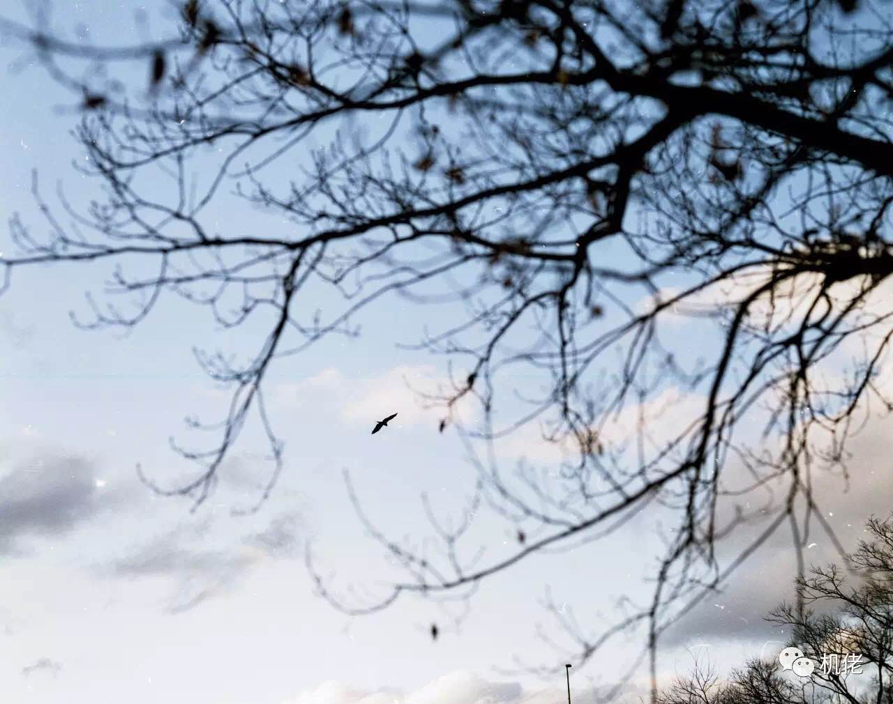 宾得风景照镜头推荐2019,宾得21mmf3.2拍人像