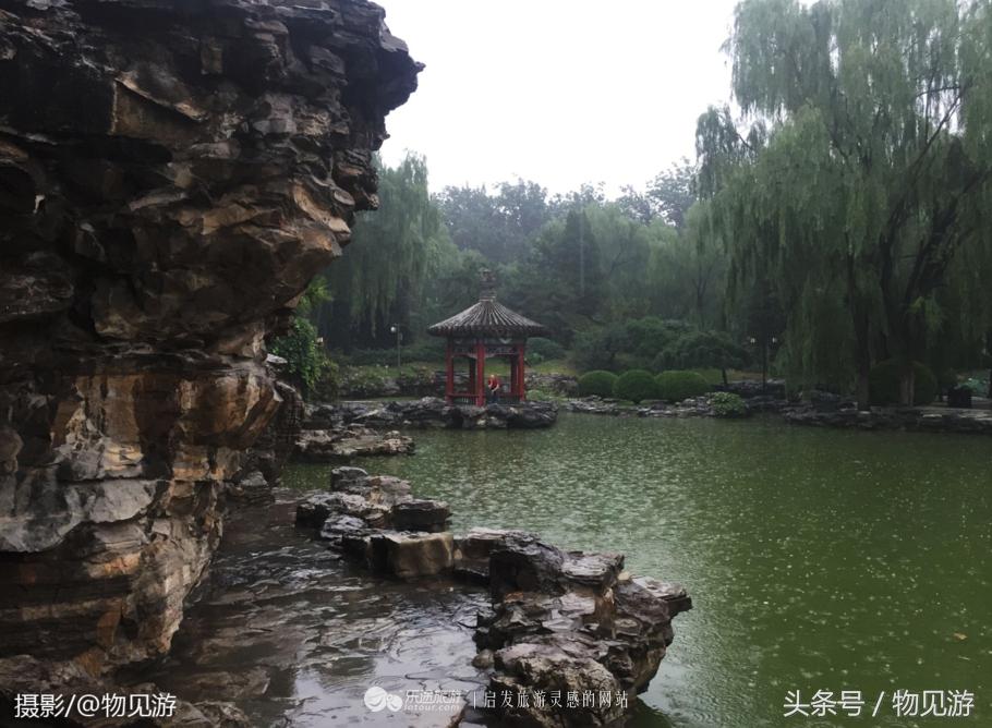 清水凌霄映芙蓉北京日坛公园雨中景｜一绮花见游（原创城市微旅行文章）