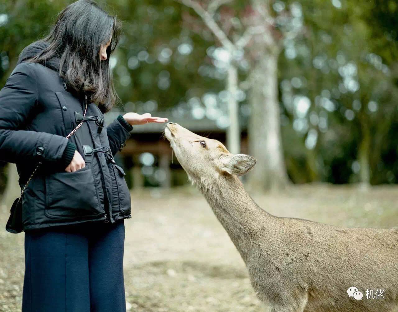 宾得风景照镜头推荐2019,宾得21mmf3.2拍人像