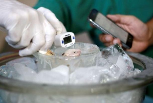 治愈糖尿病的最新突破视频,治愈糖尿病的最新突破