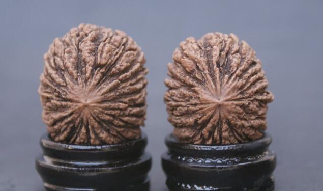 乾隆盘玩核桃,文玩核桃的发展历史