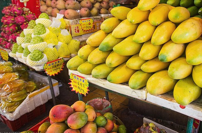 三亚旅游防蚊虫攻略,三亚防宰攻略详细