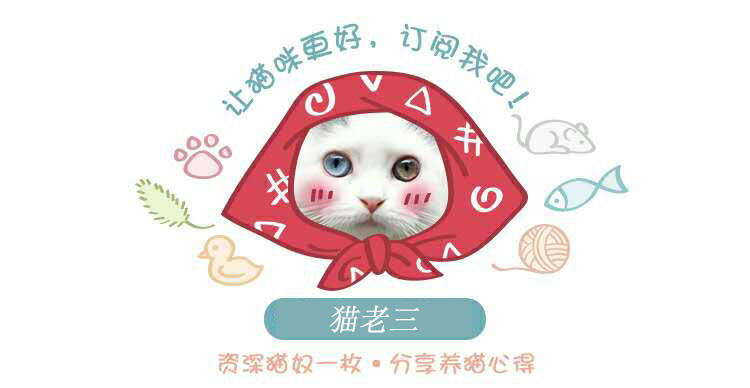 一招辨认哈士奇是不是纯种皇家血脉