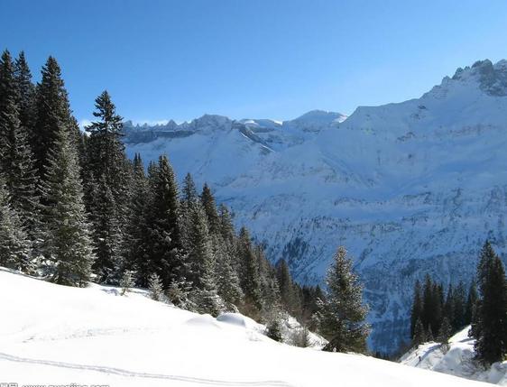 遥远的不是距离而是次元,看动漫的和不看动漫的都沉默了