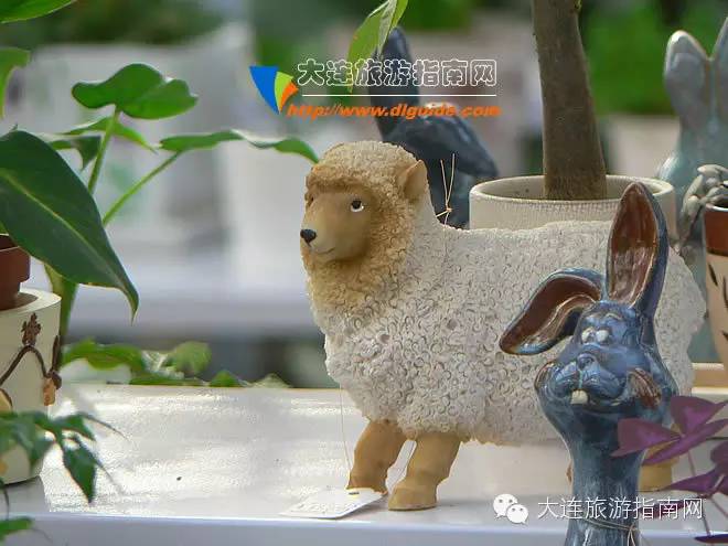 大连西郊花卉园艺,大连西郊园林公园花卉超市