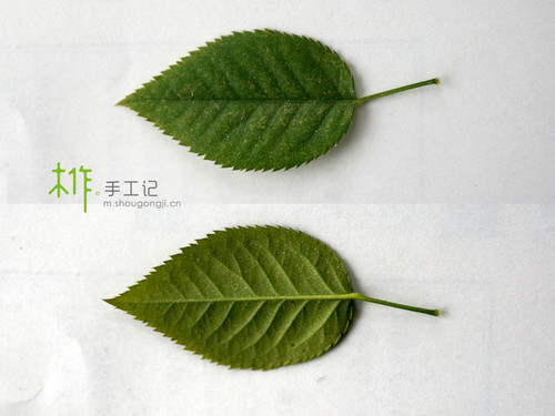 木雕雕刻自学入门,最简单的木雕雕刻教程