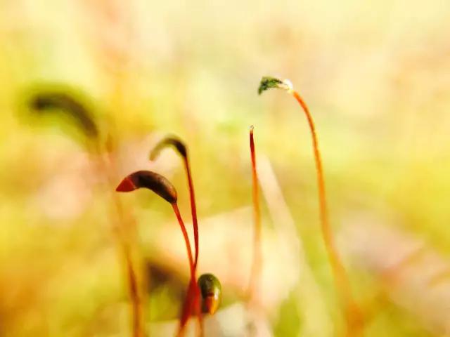 CMPA|2016年3月7日编辑推荐作品