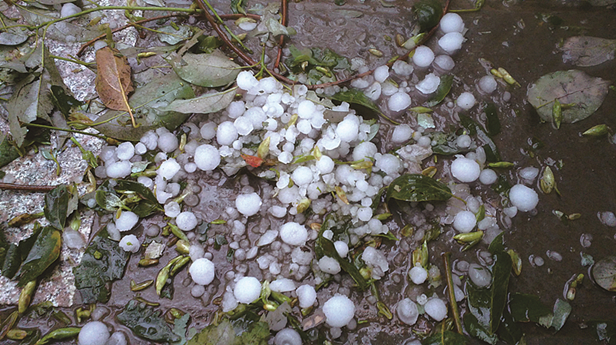 贵阳超大块冰雹,贵阳清镇下冰雹有多大