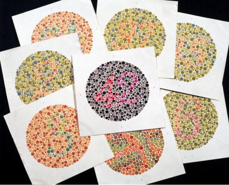 让世界再次充满色彩——EnChroma眼镜体验