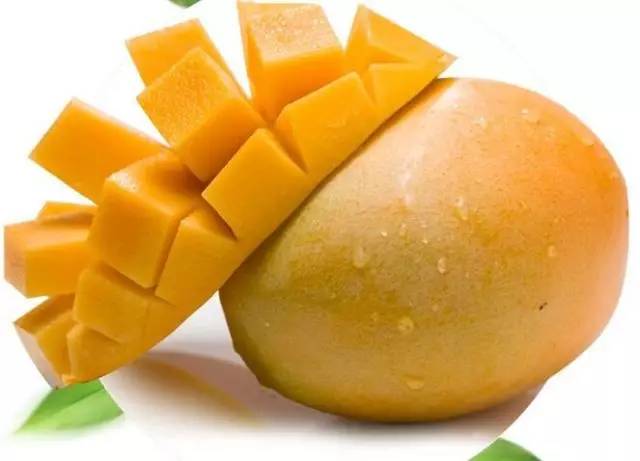 居然有人给芒果这种生物开世界大会,逼格升级,田东又要火上天啊!