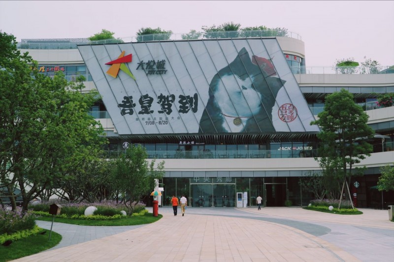 盘点十大网红萌宠,盘点全网6只网红萌宠