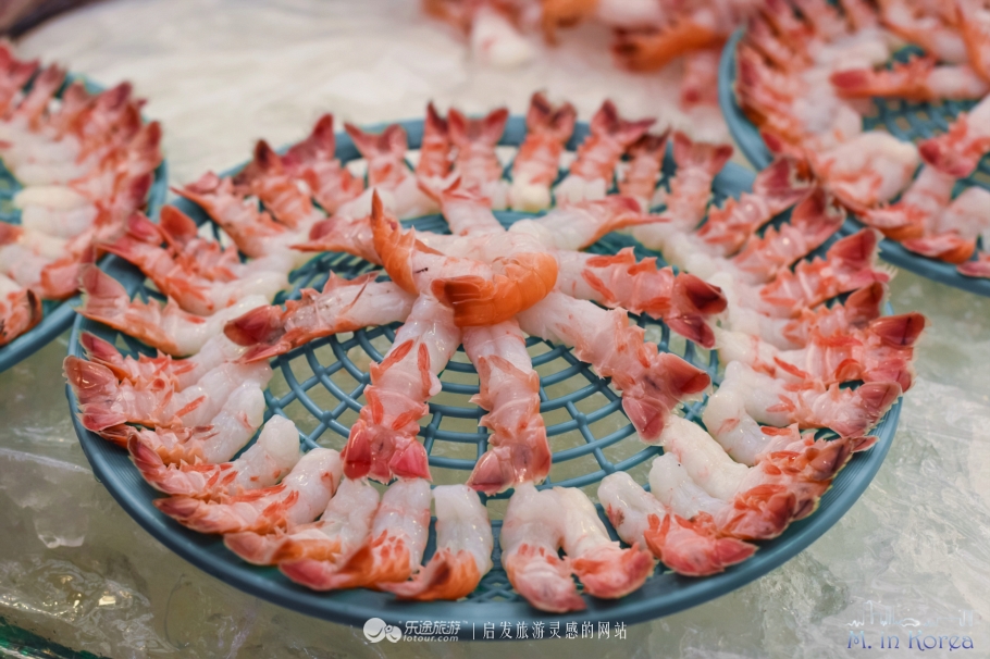 跟着RM探寻济州东门市场