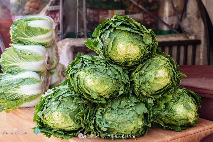跟着RM探寻济州东门市场