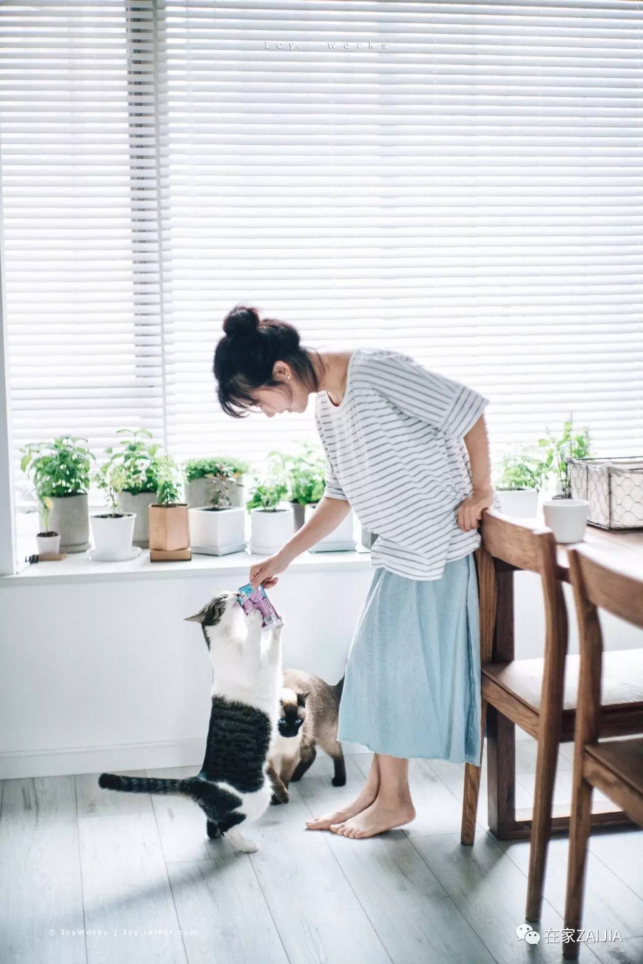 柔和舒适的房屋,小巧温馨舒适的房子