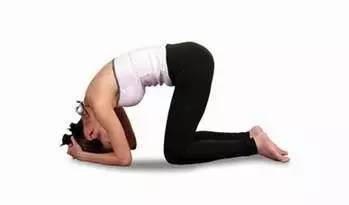 老司机被吊销驾照再重考好考不,老司机酒驾吊销驾照重考