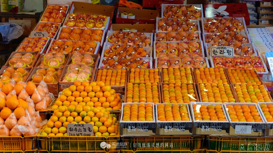 跟着RM探寻济州东门市场