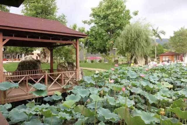 富源县万达广场,富源有万达广场吗