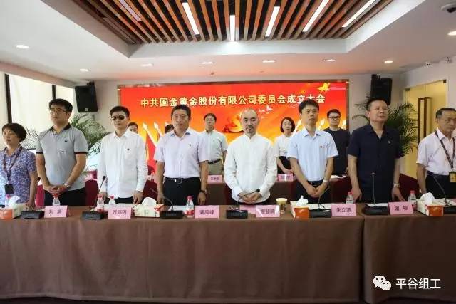 国金黄金股份有限公司年报,国金黄金股份有限公司总经理