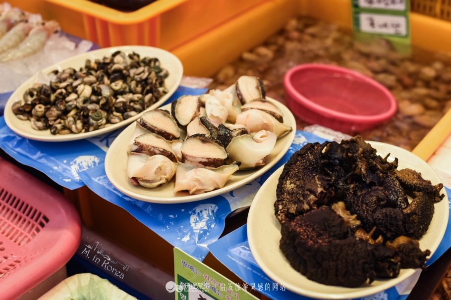 跟着RM探寻济州东门市场