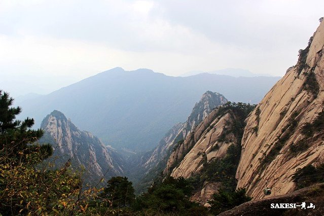 金毛萨克斯,金毛挑战全部视频