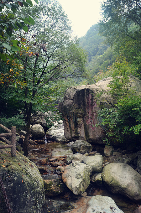 老君山仙境高清图片,老君山似天上宫阙