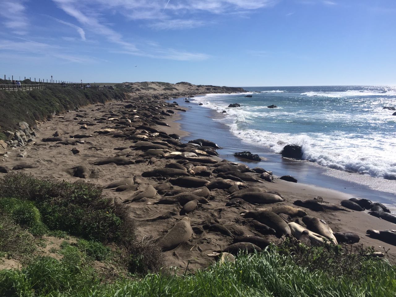 告别昔日朋友圈,告别过去的朋友圈