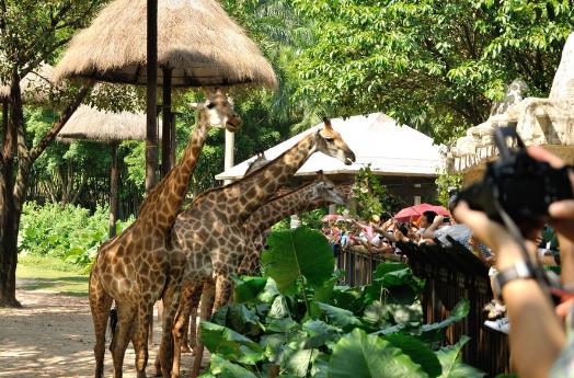 适合暑假带孩子亲子游玩的地方,适合放假带娃玩的地方冬天