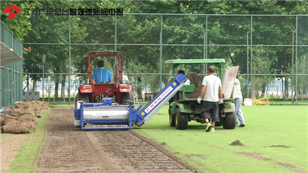 南京奥体中心篮球场被吐槽,南京奥体中心体育场为什么横开
