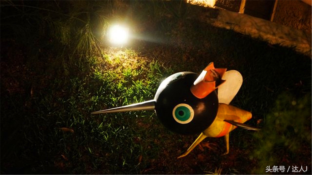 达人J：巴西的盛宴