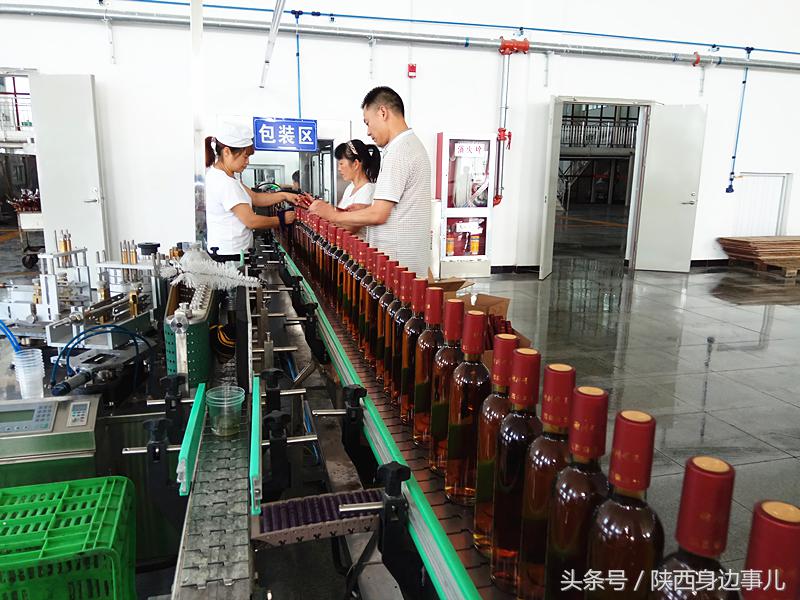 洋县秦洋长生酒业谢村黄酒,洋县秦洋长生酒业抖音号