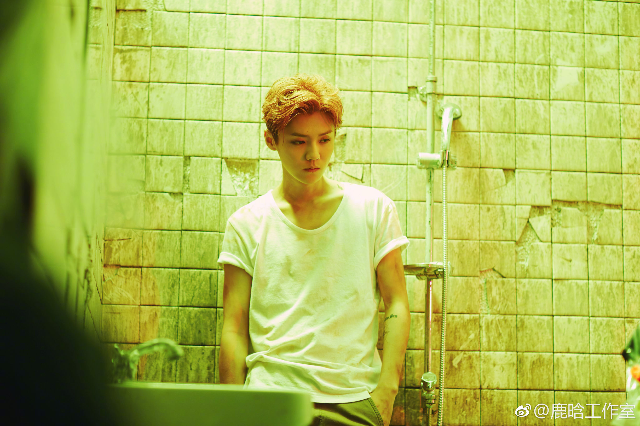 鹿晗原色乐评,鹿晗线上演唱会乐评