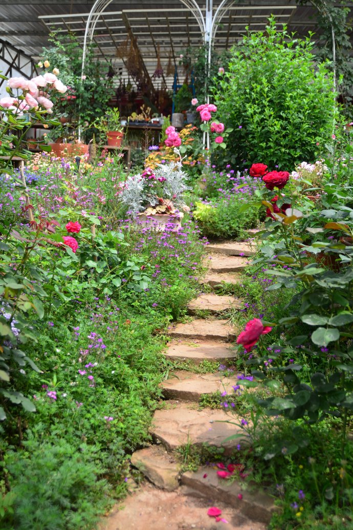 花园拜访,成都玛莉亚色彩花园电话