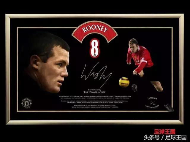 是回家亦是离家,烈士暮年尽是天涯——鲁尼