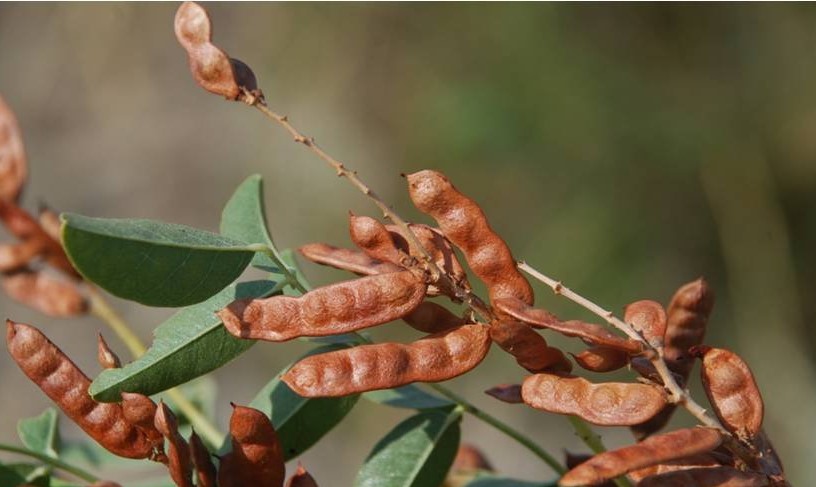 生孩子后脸色暗黄有斑怎么办,生孩子后长斑什么原因