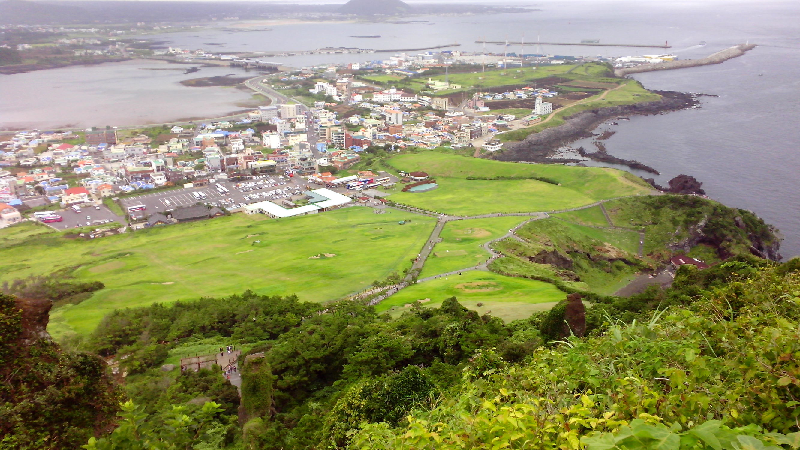 全球含金量最高的国际驾照,上海驾照是不是含金量高