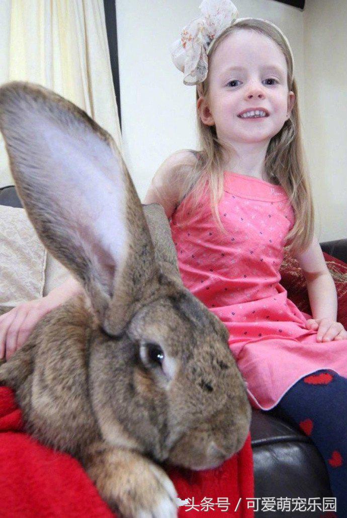 铲屎官你告诉我，女朋友很粘人该怎么办啊？