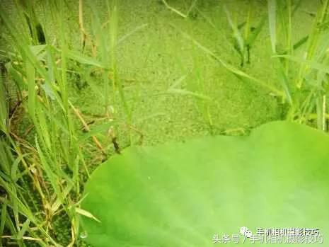 拍好照片的三个标准你值得一看,拍一张好照片容易吗