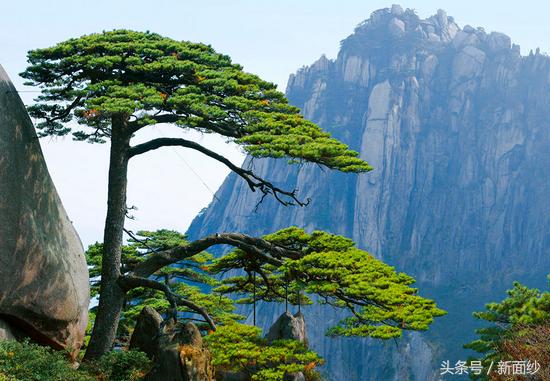 去闺蜜家做客，她说睡家里坏风水，我拽着老公住酒店也不留宿她家