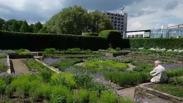 icc国际冠军杯直播,icc国际冠军杯2017巴萨