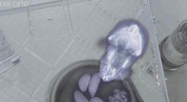 仓鼠三天不喝水怎么办,仓鼠可以三天不吃不喝吗