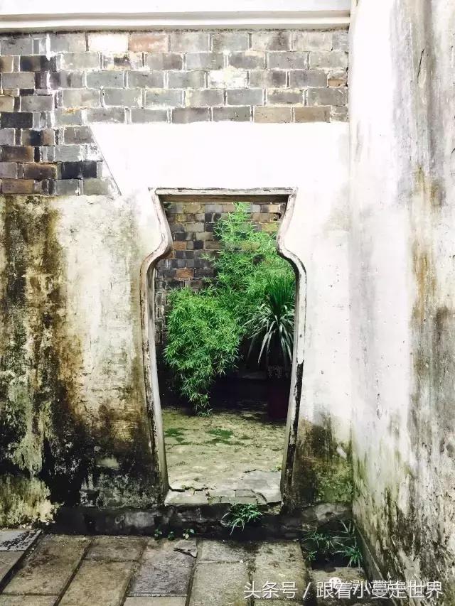 高淳去南京玩,高淳看荷花