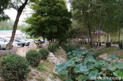 大午前世今生,大午温泉改成什么名字了